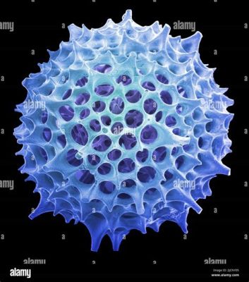  Radiolarian! En mikroskopisk värld av skönhet och komplexitet inom Mastigophora-gruppen